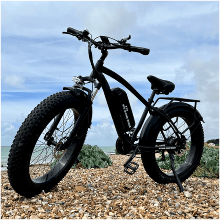 Rough Terrain Electric Bikes