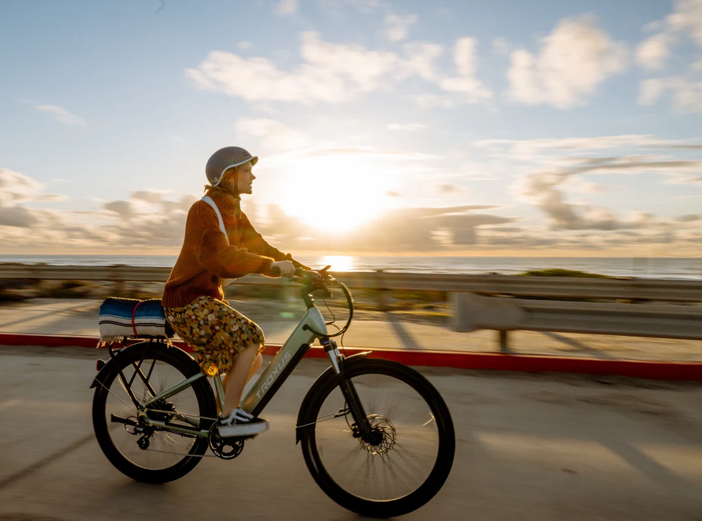 Fate of Electric Bikes